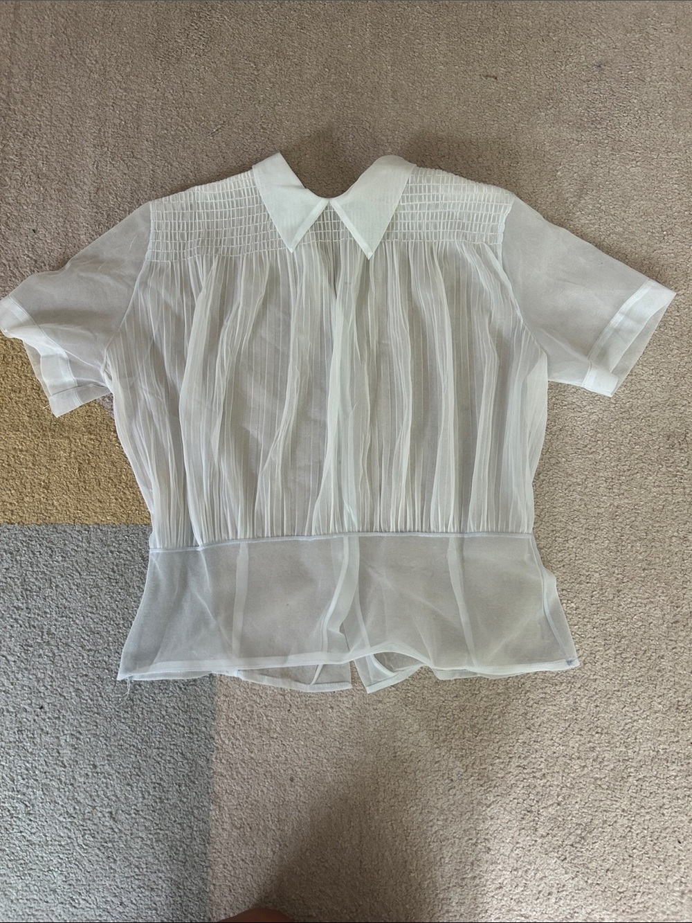 Vintage Sheer Light Light Blue Pleated Short Sleeve Blouse
